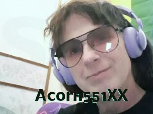 Acorn551XX