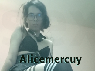 Alicemercuy