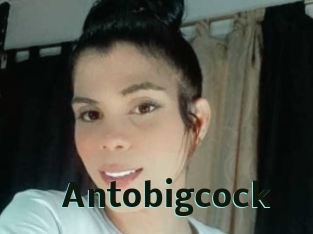 Antobigcock