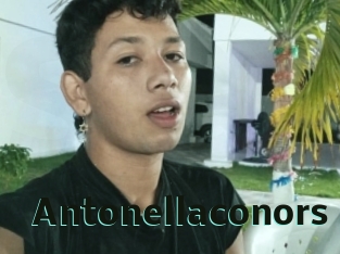 Antonellaconors