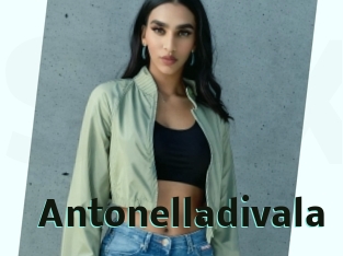 Antonelladivala