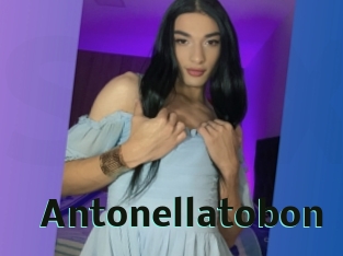 Antonellatobon