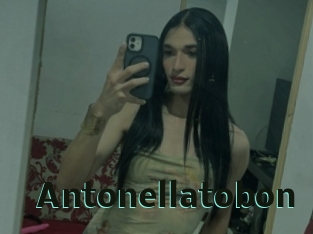 Antonellatobon