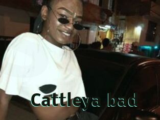 Cattleya_bad