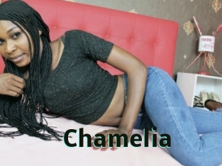 Chamelia