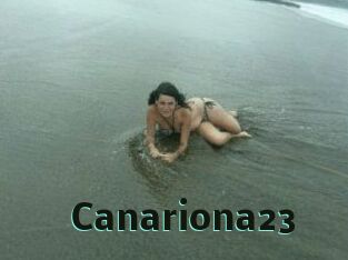 Canariona23