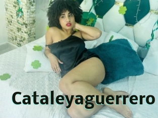 Cataleyaguerrero