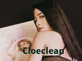 Cloeclean