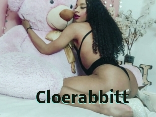 Cloerabbitt