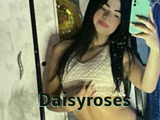 Daisyroses