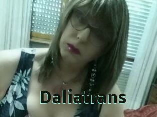 Daliatrans