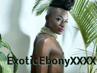 ExoticEbonyXXXX