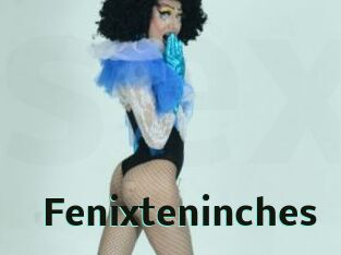 Fenixteninches