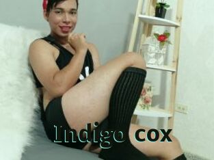 Indigo_cox