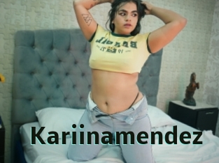 Kariinamendez