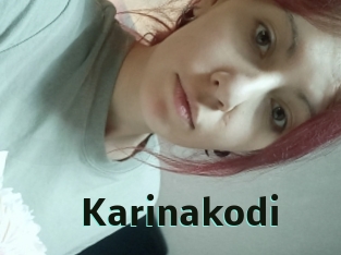 Karinakodi