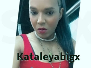 Kataleyabigx