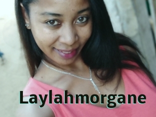 Laylahmorgane