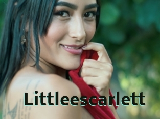 Littleescarlett