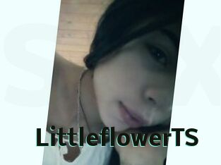 LittleflowerTS