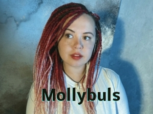 Mollybuls