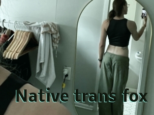 Native_trans_fox