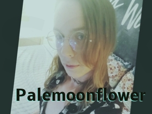 Palemoonflower