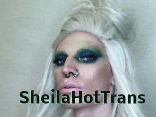 SheilaHotTrans