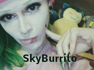 SkyBurrito