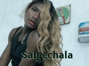 Salgechala