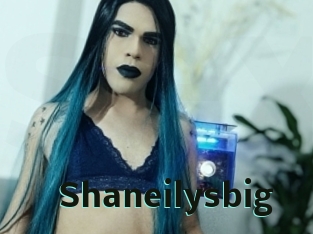 Shaneilysbig