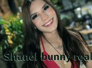 Shanel_bunny_real