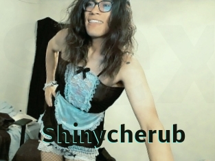 Shinycherub