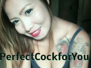 TsPerfectCockforYou