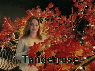 Tanderrose