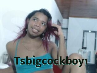 Tsbigcockboy1