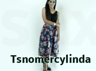 Tsnomercylinda