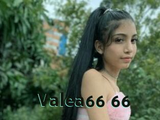 Valea66_66