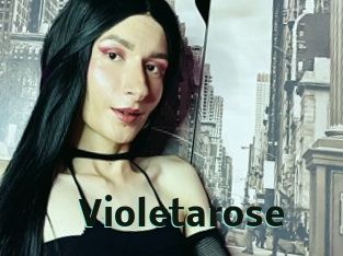 Violetarose