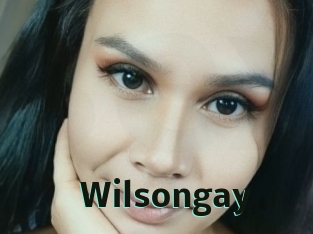 Wilsongay