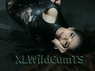 XLWildCumTS