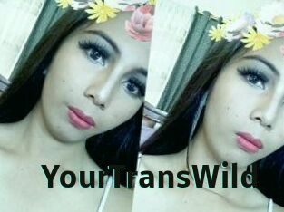 YourTransWild