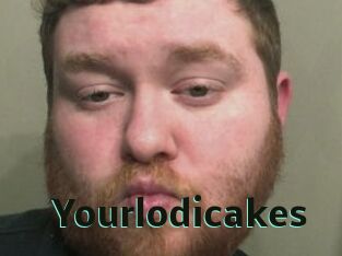 Yourlodicakes