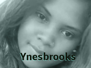 Ynesbrooks