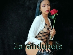 zarahdubois Sextrans